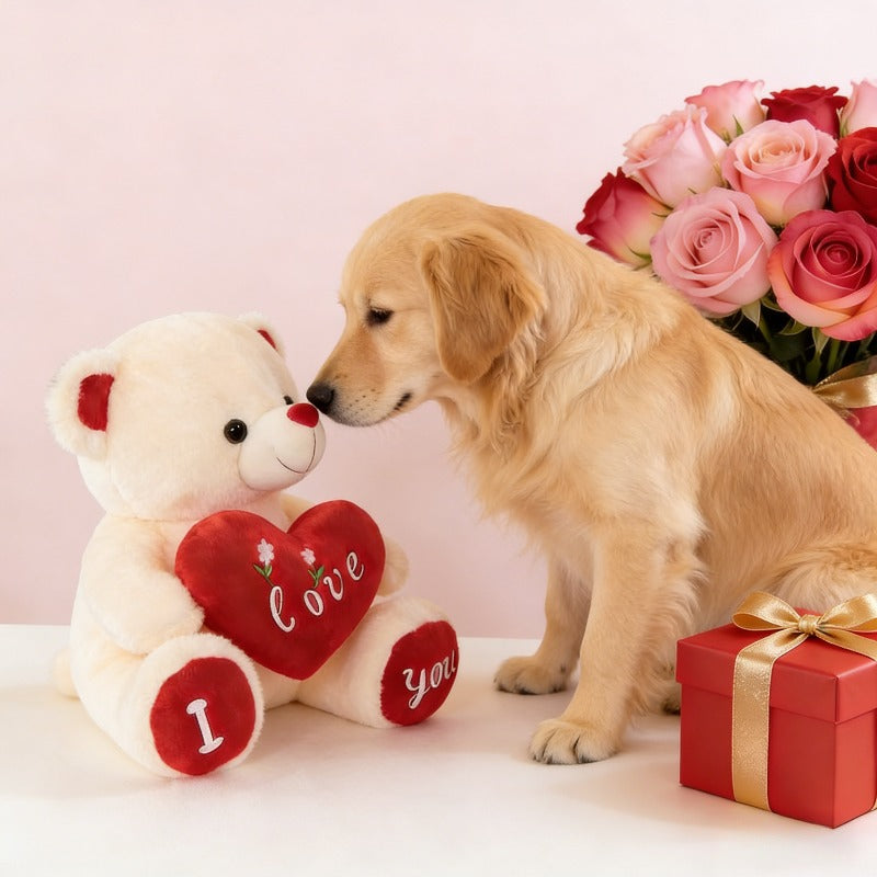 Cuddly Bear Plush Dog Toy - 12in Soft Chew Companion