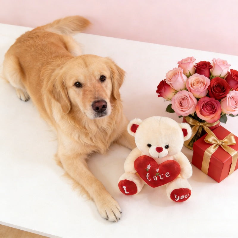 Cuddly Bear Plush Dog Toy - 12in Soft Chew Companion