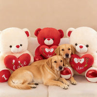 Cuddly Bear Plush Dog Toy - 12in Soft Chew Companion