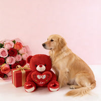 Cuddly Bear Plush Dog Toy - 12in Soft Chew Companion