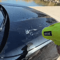 SEESE PRO™-Ultra-Light, Ultra-Powerful Blower
