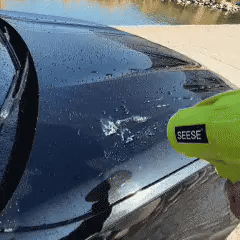 SEESE PRO™-Ultra-Light, Ultra-Powerful Blower